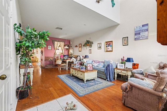 16318 PARKSTONE PALMS COURT, Tampa, FL 33647