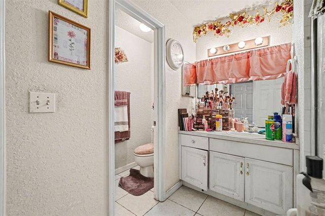 16318 PARKSTONE PALMS COURT, Tampa, FL 33647