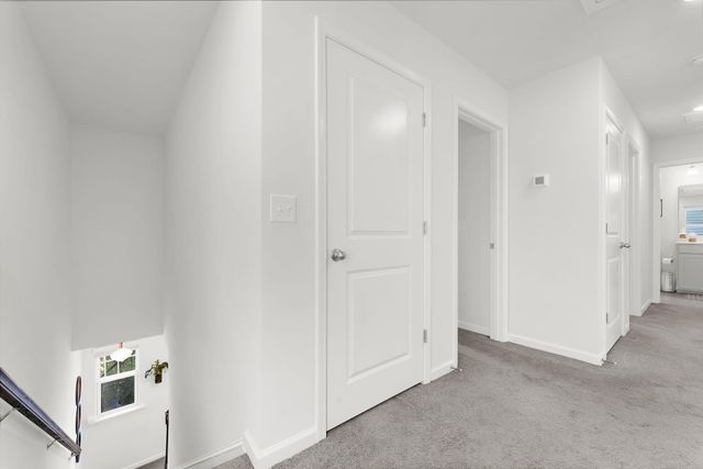 1035 Sago Palm Court, Mount Pleasant, SC 29466