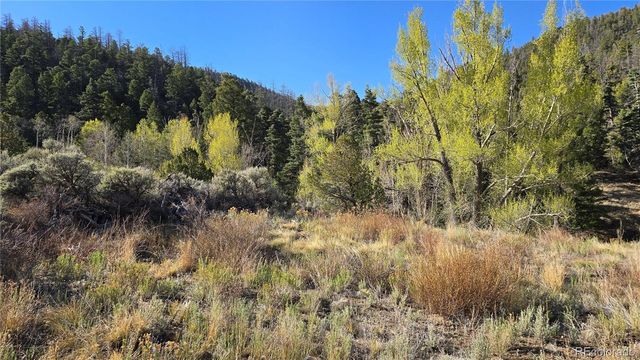 Lot 5475 Joy Road, Fort Garland, CO 81133