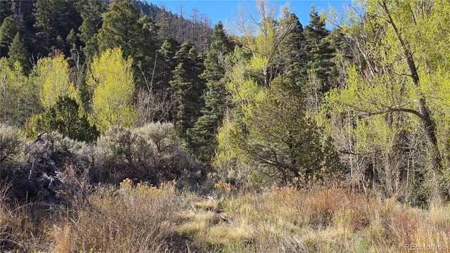 Lot 5475 Joy Road, Fort Garland, CO 81133