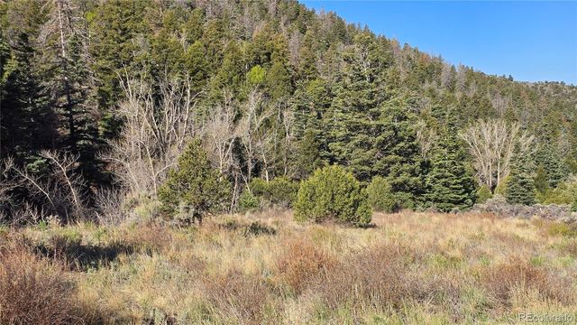 Lot 5475 Joy Road, Fort Garland, CO 81133