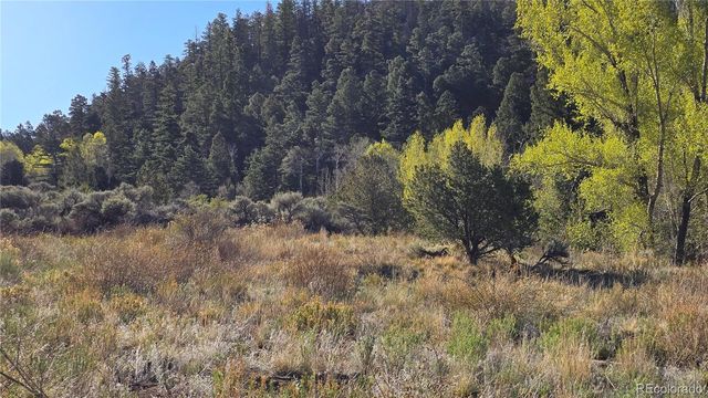 Lot 5475 Joy Road, Fort Garland, CO 81133