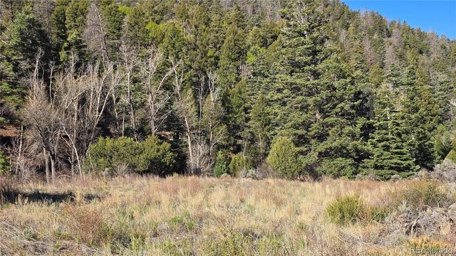 Lot 5475 Joy Road, Fort Garland, CO 81133