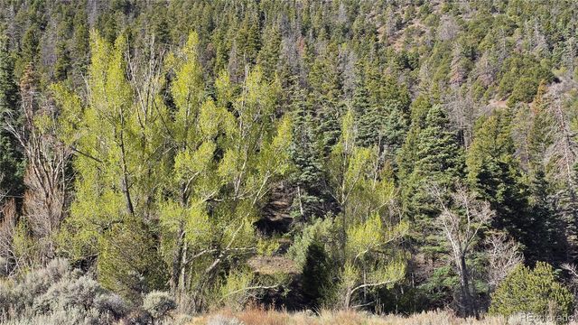 Lot 5475 Joy Road, Fort Garland, CO 81133