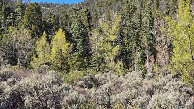 Lot 5475 Joy Road, Fort Garland, CO 81133