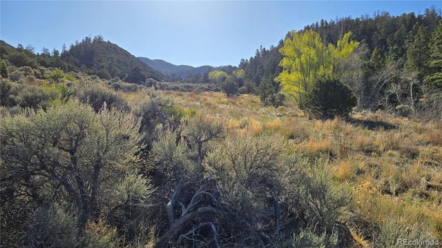 Lot 5475 Joy Road, Fort Garland, CO 81133