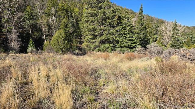 Lot 5475 Joy Road, Fort Garland, CO 81133