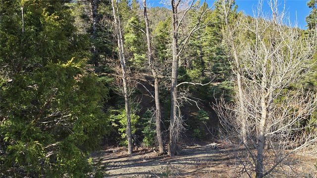 Lot 5475 Joy Road, Fort Garland, CO 81133