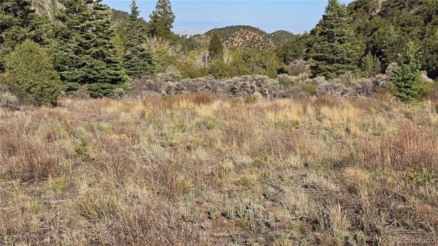Lot 5475 Joy Road, Fort Garland, CO 81133