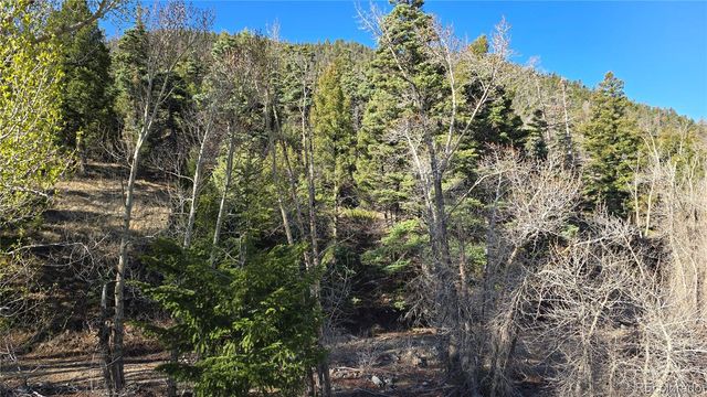 Lot 5475 Joy Road, Fort Garland, CO 81133