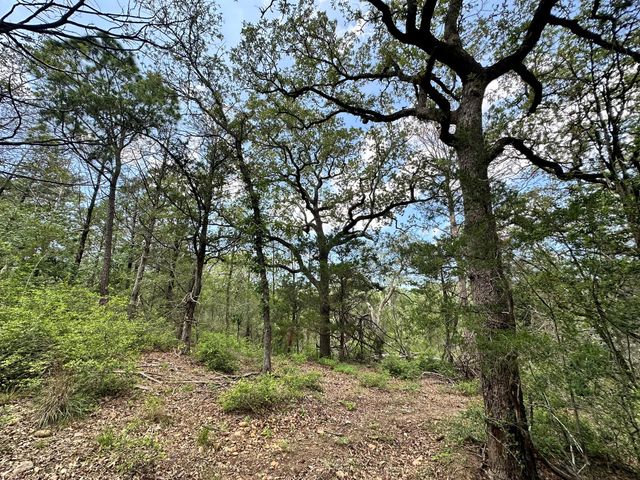 TBD Oah CT, Bastrop, TX 78602