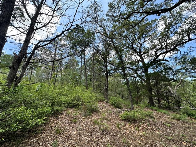 TBD Oah CT, Bastrop, TX 78602