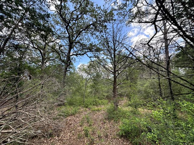 TBD Oah CT, Bastrop, TX 78602