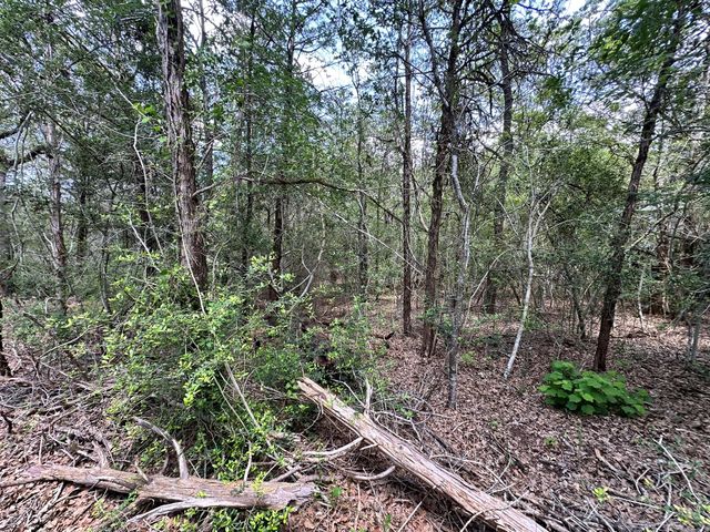 TBD Oah CT, Bastrop, TX 78602