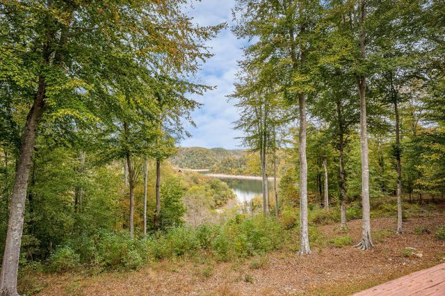 375 Winter Park Cir, Smithville, TN 37166
