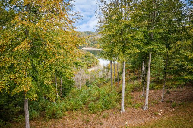 375 Winter Park Cir, Smithville, TN 37166