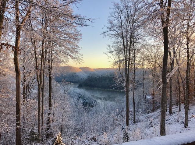 375 Winter Park Cir, Smithville, TN 37166