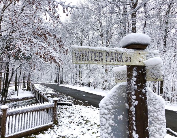 375 Winter Park Cir, Smithville, TN 37166