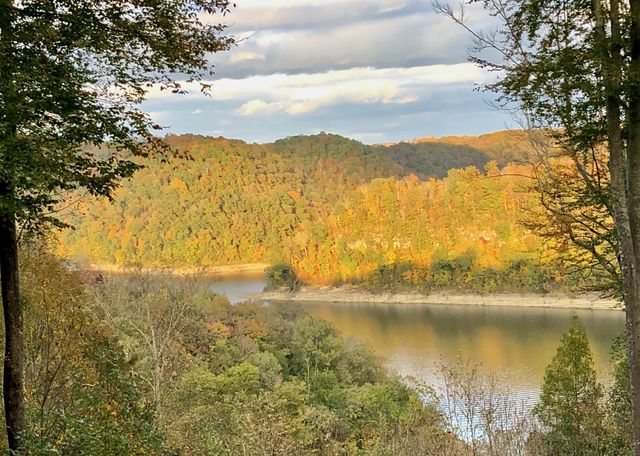 375 Winter Park Cir, Smithville, TN 37166