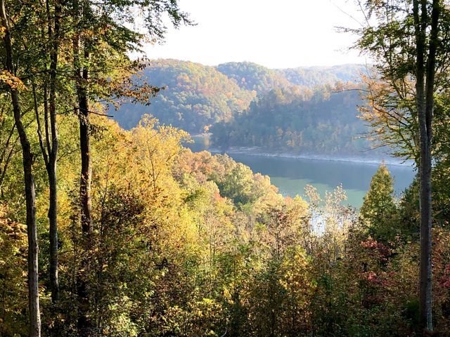 375 Winter Park Cir, Smithville, TN 37166