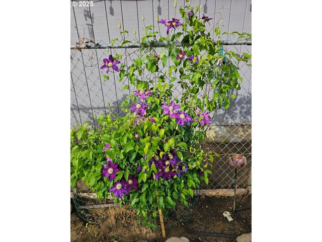 460 MEADOW Ln, Creswell, OR 97426