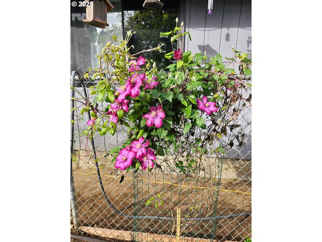 460 MEADOW Ln, Creswell, OR 97426