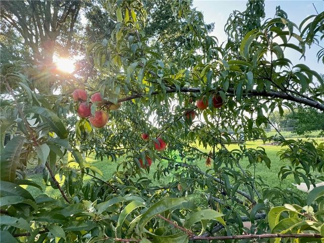 14565 Gardner Road, Gardner, KS 66030