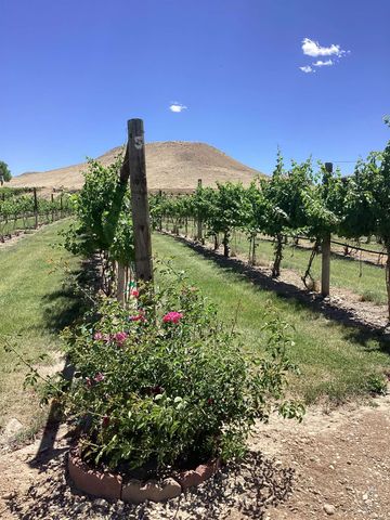 3697 F Road, Palisade, CO 81526