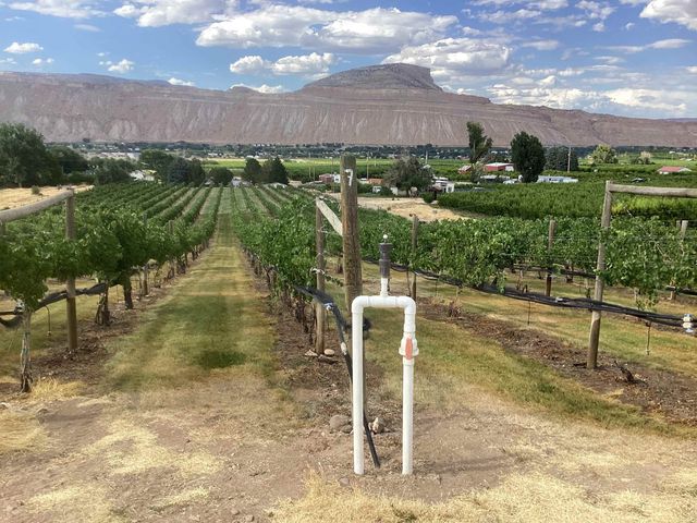 3697 F Road, Palisade, CO 81526