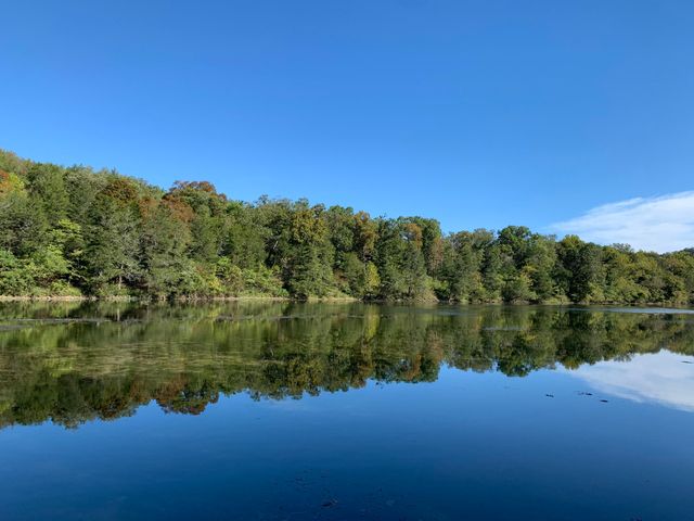 521 Cozy Lane, Branson, MO 65616