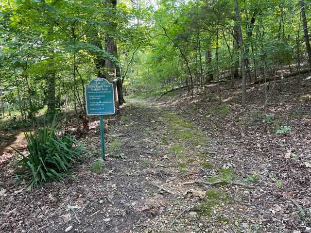 521 Cozy Lane, Branson, MO 65616