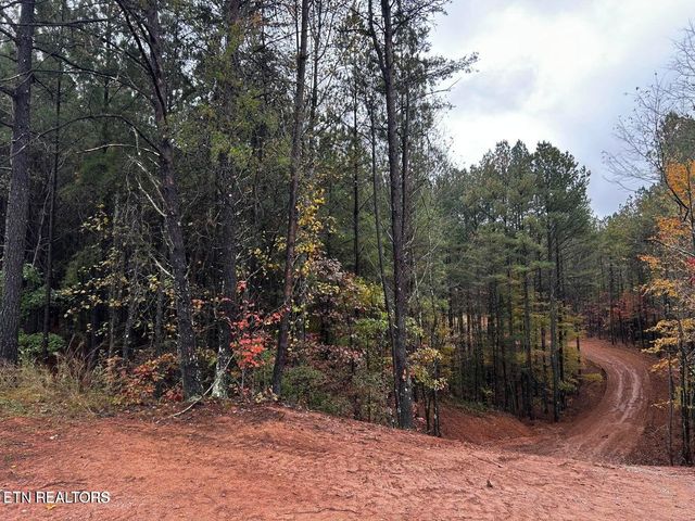 0 Ballplay Road Lot 30, Madisonville, TN 37354