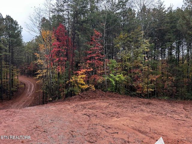 0 Ballplay Road Lot 30, Madisonville, TN 37354