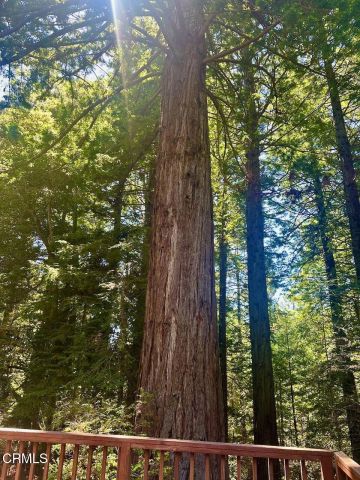 33182 Frog Pond Road, Little River, CA 95456
