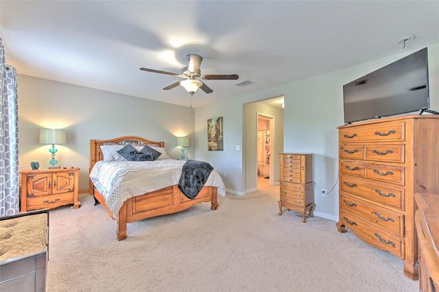 1705 IVORY GOOSE PLACE, Ruskin, FL 33570