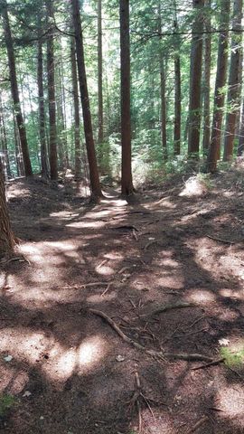 111 Hughes Lane, Jamaica, VT 05343
