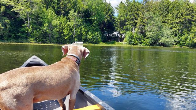 111 Hughes Lane, Jamaica, VT 05343