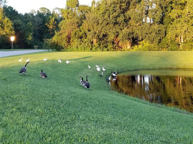 237 N HIDDEN TREE DRIVE, St Augustine, FL 32086