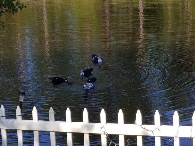 237 N HIDDEN TREE DRIVE, St Augustine, FL 32086