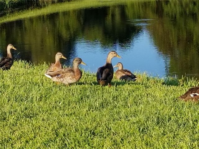 237 N HIDDEN TREE DRIVE, St Augustine, FL 32086