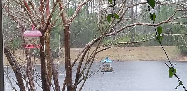 237 N HIDDEN TREE DRIVE, St Augustine, FL 32086