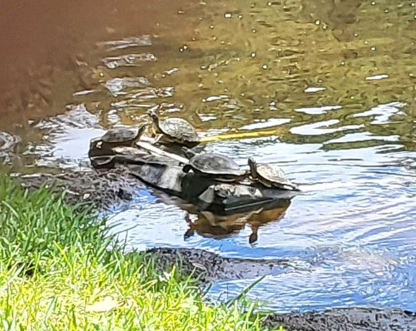 237 N HIDDEN TREE DRIVE, St Augustine, FL 32086