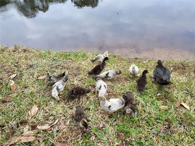 237 N HIDDEN TREE DRIVE, St Augustine, FL 32086