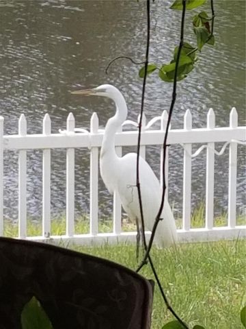 237 N HIDDEN TREE DRIVE, St Augustine, FL 32086