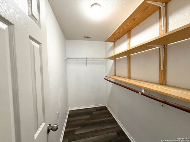 24230 Saffron Plum, San Antonio, TX 78261