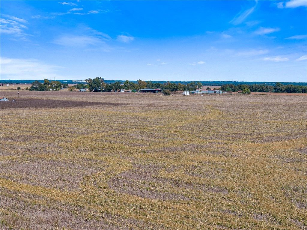155.309 Acres FM 50, Hearne, TX 77859 — photo 2