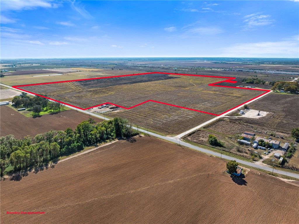 155.309 Acres FM 50, Hearne, TX 77859 — photo 4