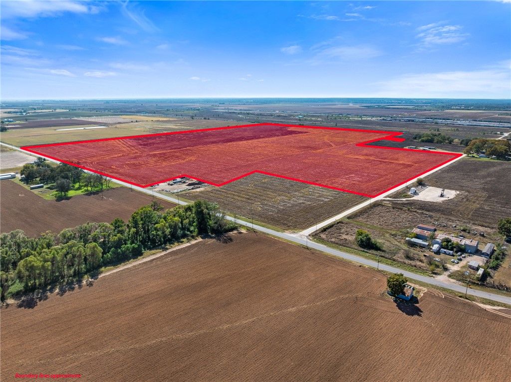 155.309 Acres FM 50, Hearne, TX 77859 — photo 5
