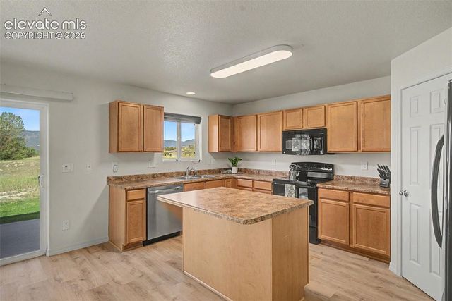 11675 Black Maple Lane, Colorado Springs, CO 80921